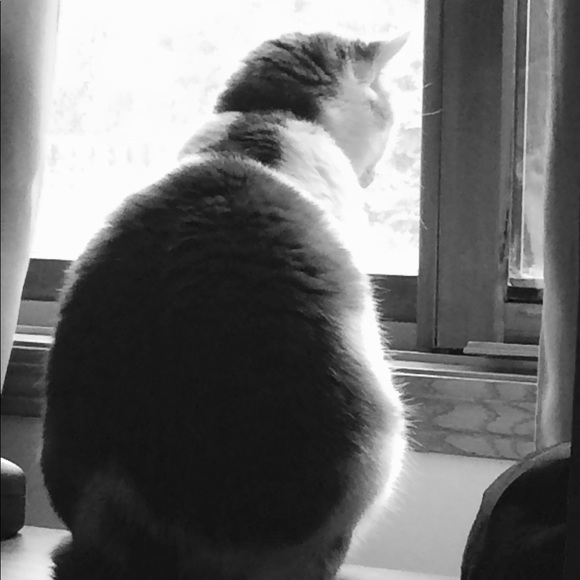 Meet your Posher, Emily - Picture 4 of 5